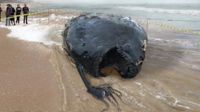 A scary beach scene