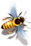 Bee honey Bullet