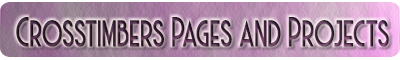 Pages and Projects tab