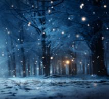 Lights in a snowy, dark forest at night.