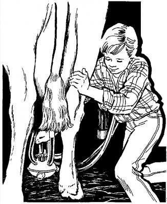 A clip art image of a boy, a cow, and an automatic milking machine