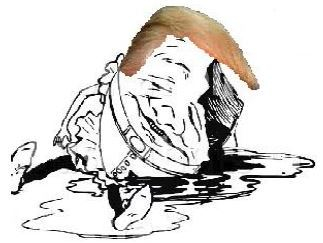 Image for Trumpty Dumpty