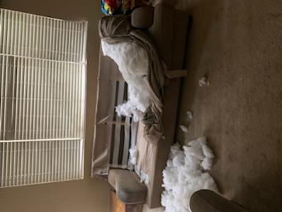 Yeah, the dog ate the couch