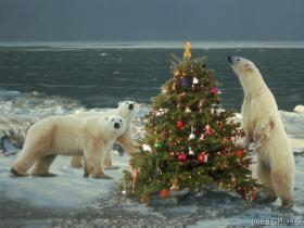 A Christmas Tree and polar bears.