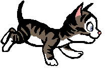 Meow - This is a test.