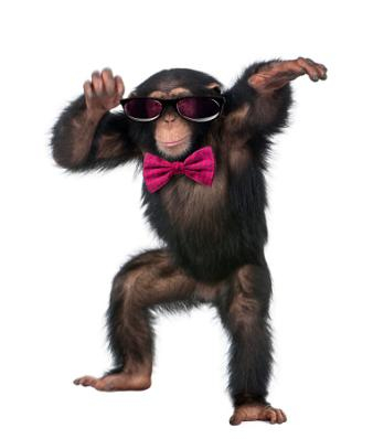 Chimp Wearing a Red Bowtie