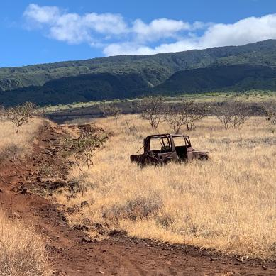 An interesting object in the middle of nowhere inspires a photographer ... then a writer.