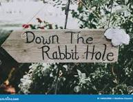 Falling Down the Rabbit Hole