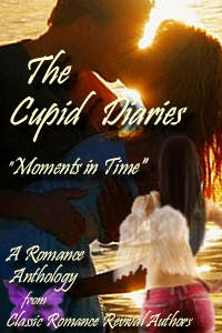 Book Cover for The Cupid Diaries