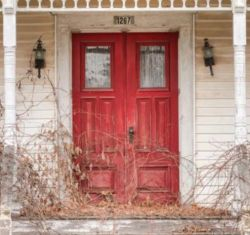 Overgrown front door.