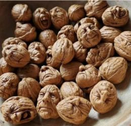 Walnuts like wrinkled faces cascading.