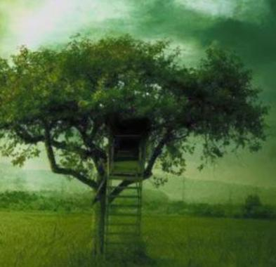 A tree house