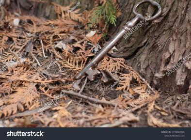 Key on ground