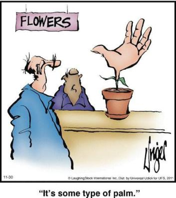 I am not a plant person....