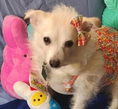 an easter photo of my little star