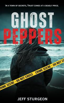 The cover for my upcoming book