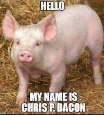 His name is appropriate if you ask me