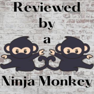 Ninja Brick