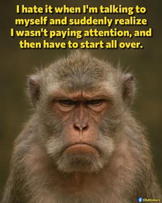 This describes me well