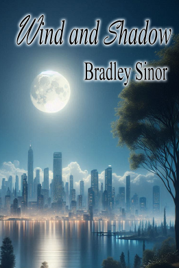 SINOR COVER