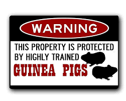 Guinea Protection Service