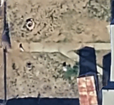 In my backyard from the sky. X & Y chromosome.