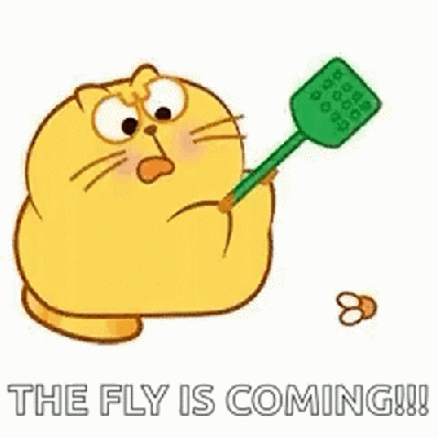 Flies are coming