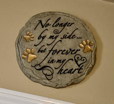 I’m blind, not disabled.