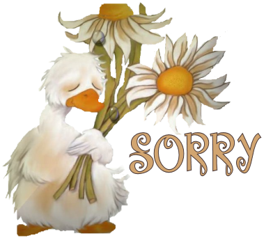 So sorry!!!