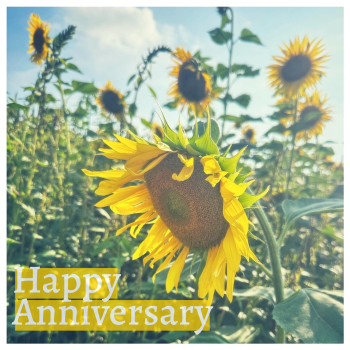 Happy WdC Anniversary C-Note