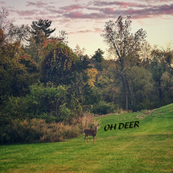 Get Well Soon C-Note