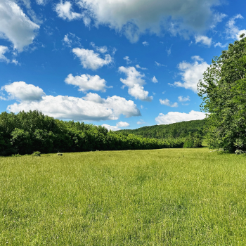 Encouragement C-Note