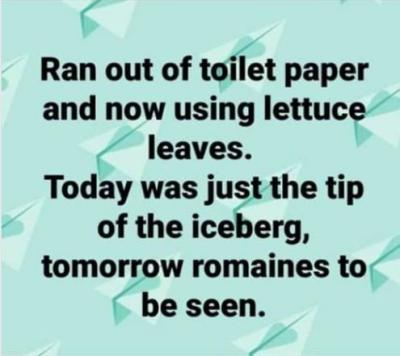 I remember running out of TP when I was a child.  We ended up using Newspaper!  OUCH!