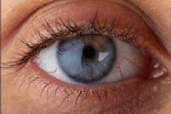 Close Up of my Eye. ~  Close up of my eyes.  Silly, huh?  LOL 