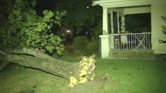 In the historic Heights area of Houston ~ Houston lost over 25% of its tree canopy in the storm