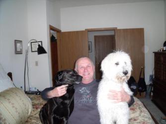 Untitled ~  Chloe the lab and Honey the Golden Doodle. 