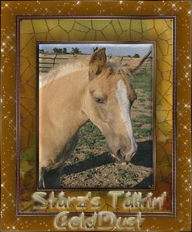 Meet "Dusty."  (Starz's Talkin' Golddust), Tennessee Waking Horse Colt ~  I lost one of my Champagne colts a couple of years ago. The Lord has blessed my ranch with a new Palomino Colt, shown here, born May 5th, 2008.  I named him after the first Dusty that passed away.  His registered name is Starz's Talkin Gold Dust, "Dusty." 