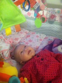 February 4, 2013 ~  Enjoying play time! 