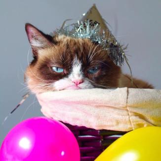 Grumpy Cat Party Time ~  No description included. 