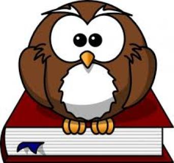 Ollie Owl ~ 