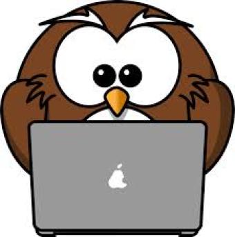 Ollie Owl ~ 