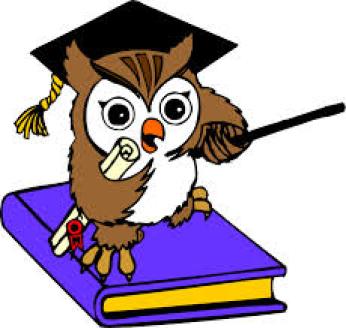 Scholarly Ollie ~ 