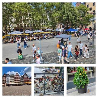 A Collage From Frankfurt City Center ~   Top Photo - The view as I left the Iron Bridge, or what I call the bridge of locks. Bottom right - a person dressed as a bush who sits in a large planter and moves suddenly to scare passerby's. Middle bottom - Bridge of locks with a river cruiser in the background. Bottom left - I am not sure what these buildings are, but I love them. To me, they look like they belong in the Swiss Alps.  